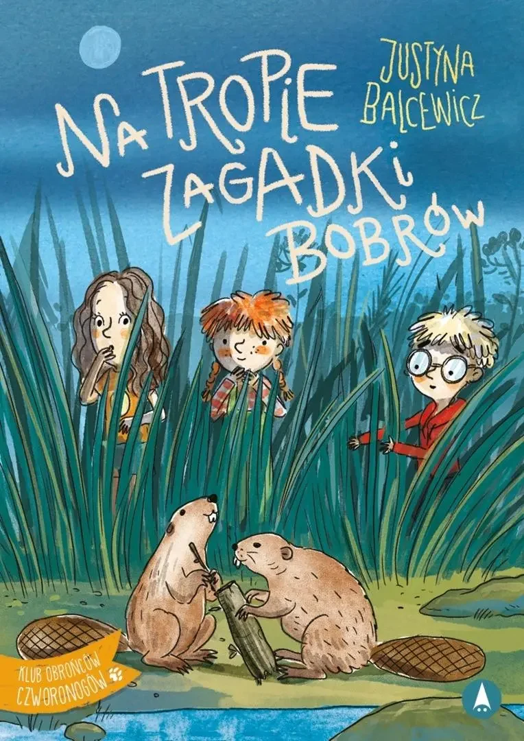 2389737-na-tropie-zagadki-bo